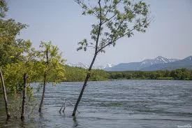 До 1 млн. рублей штрафа может заплатить рыбодобывающая компания Камчатки за загрязнение реки