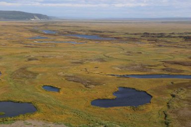 Представители коренных народов на Камчатке смогут создавать территории традиционного природопользования 3