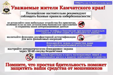 Хорошая память подвела под уголовную статью приехавшего на заработки иностранца на Камчатке 0