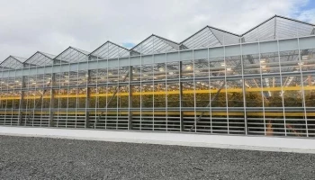 192 миллиона рублей будет выделено на развитие тепличного комплекса на Камчатке 192 миллиона рублей будет выделено на развитие тепличного комплекса на Камчатке