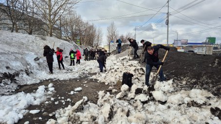 Андрей Воровский присоединился к субботнику в Перопавловске-Камчатском 2