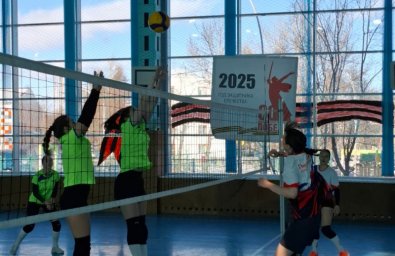 Сильнейших волейболисток определили в Елизовском районе на Камчатке 5