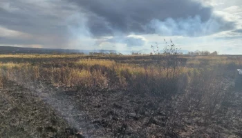 На Камчатке в двух населенных пунктах повысились классы пожарной опасности
