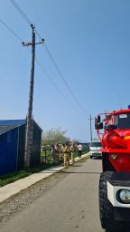 На помощь попавшим в беду животным пришли жители Камчатки 1