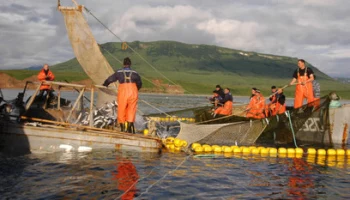 На Камчатке официально закрыт промышленный лов лососей