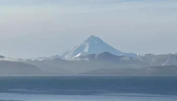 Уровень заболеваемости туберкулёзом снизился почти на семь процентов за год в Камчатском крае