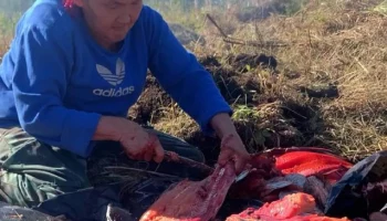 На традиционный праздник «День первой рыбы» приглашают жителей Камчатки