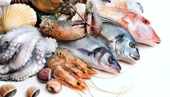 Обладателями грантов на создание рыбных продуктов питания станут студенты на Камчатке