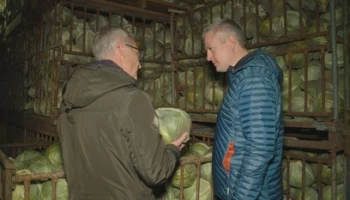 На Камчатке будут регулировать цены в рознице на овощи открытого грунта местного производства