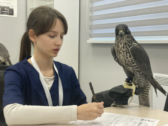 В восьмой раз к &laquo;Диктанту Победы&raquo; присоединился Камчатский край 0