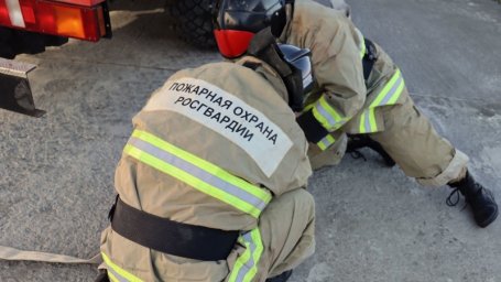 Совместные учения МЧС России и Росгвардии состоялись в Камчатском крае 0