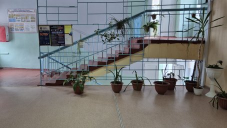 Большой объем ремонтных работ образовательных учреждений запланирован на 2026 год в Петропавловске-Камчатском 7