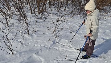 Уникальный определитель следов диких животных готовят юннаты на Камчатке 4