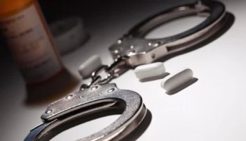 Полицейские перекрыли крупный канал поставки синтетических наркотиков на Камчатке