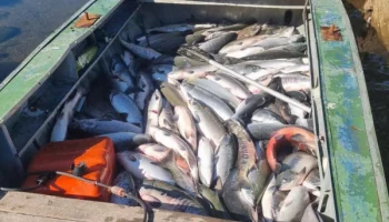 Четверых браконьеров с закидным неводом и моторной лодкой поймали на Камчатке