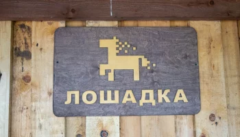 Социальными турами активно пользуются жители и гости Камчатского края