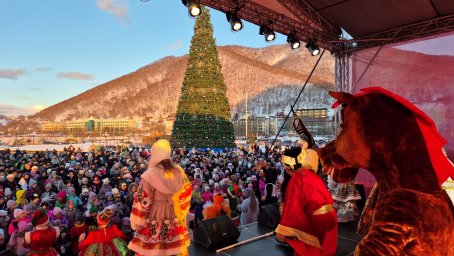 Переносится открытие новогодней ёлки на Пограничной в Петропавловске-Камчатском 4