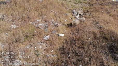 Незаконную свалку ликвидируют после вмешательства прокуратуры в Петропавловске-Камчатском 1