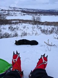 Лыжный поход второй категории сложности совершили гиды на Камчатке 4