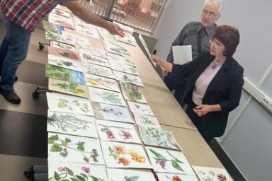 Эксперты выбрали работы юных художников, которые войдут в выставку «Ботанический атлас Камчатского края» 2