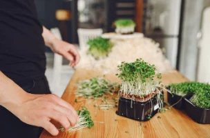 Подборка продуктов, которые диетологи рекомендуют включить в меню в период межсезонья