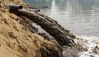 Вилючинский водоканал ответит за загрязенение бухты Крашенинникова на Камчатке Вилючинский водоканал ответит за загрязенение бухты Крашенинникова на Камчатке