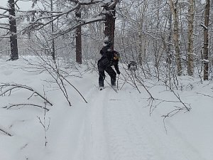 Зимний туристический сезон открыл Кроноцкий заповедник на Камчатке 2