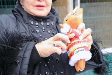 Опекуны нашлись для рыжей лисицы в елизовском зоопарке на Камчатке 0