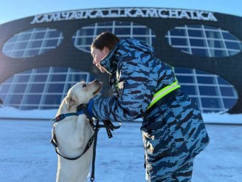 Булка встанет на защиту международного аэропорта на Камчатке 0