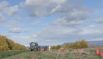 Для молодых специалистов сельскохозяйственной отрасли Камчатки запущены новые меры поддержки