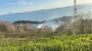 За три дня на Камчатке выгорело около пяти гектаров сухой растительности