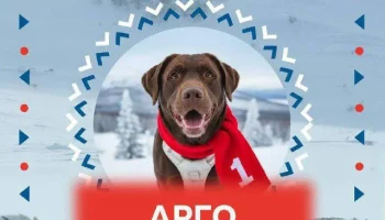 Истории о домашних питомцах принимает конкурс &laquo;Берингия. История дружбы&raquo; на Камчатке