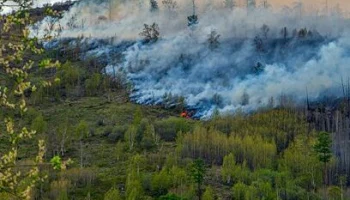 Пожароопасный сезон завершился на Камчатке