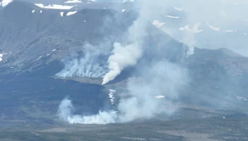 Лесной пожар на севере Камчатке обнаружили из космоса