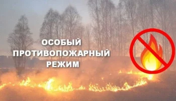 Особый противопожарный режим введен на территории Мильковского округа Камчатки