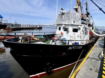 Лов белорыбицы начался 15 мая на Камчатке 0
