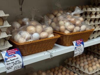 Социальный проект &laquo;Рыба камчатская&raquo; расширяется на Камчатке 1