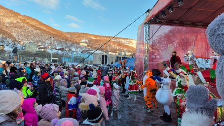 Переносится открытие новогодней ёлки на Пограничной в Петропавловске-Камчатском 2