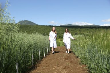 Молодые ученые Камчатки работают над повышением урожайности овощей и злаков 6