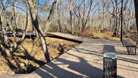 Имя для нового эко-парка выбирают жители Петропавловска-Камчатского 4