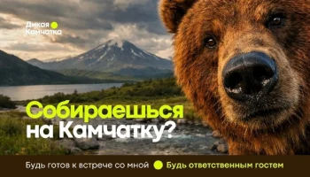 На форуме &laquo;Экосистема. Заповедный край&raquo; презентовали проект &laquo;Дикая Камчатка&raquo;