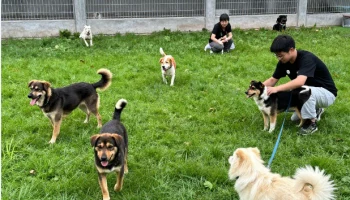 Прокуратура не согласна с закрытием приюта в селе Тиличики на Камчатке