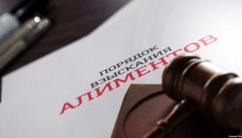 От условного срока к реальному: отправится в колонию за алименты жительница Камчатки От условного срока к реальному: отправится в колонию за алименты жительница Камчатки
