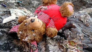 Помощи в поиске матери, выбросившей новорожденного на свалку, просят правоохранительные органы Камчатки Помощи в поиске матери, выбросившей новорожденного на свалку, просят правоохранительные органы Камчатки