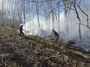 Сотрудники Кроноцкого заповедника помогли ликвидировать пожар в Елизово на Камчатке 4