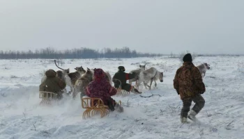 Возобновлена услуга по приему заявлений от граждан для включения в федеральный Реестр коренных малочисленных народов на Камчатке