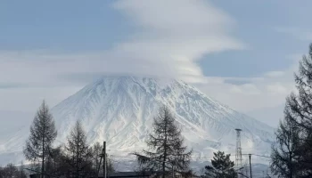 Ветераны боевых действий получили право на внеочередную медицинскую помощь на Камчатке