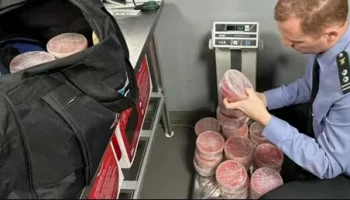 Эксперимент по контролю за перевозками икры продолжается на Камчатке