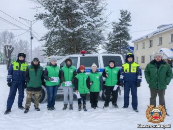 Экологическая акция «Ёлочка живи!» прошла в Мильковском лесничестве на Камчатке 2