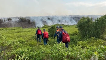 В Быстринском районе на Камчатке ликвидирован природный пожар